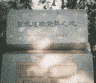 tennisplate.JPG (8260 oCg)